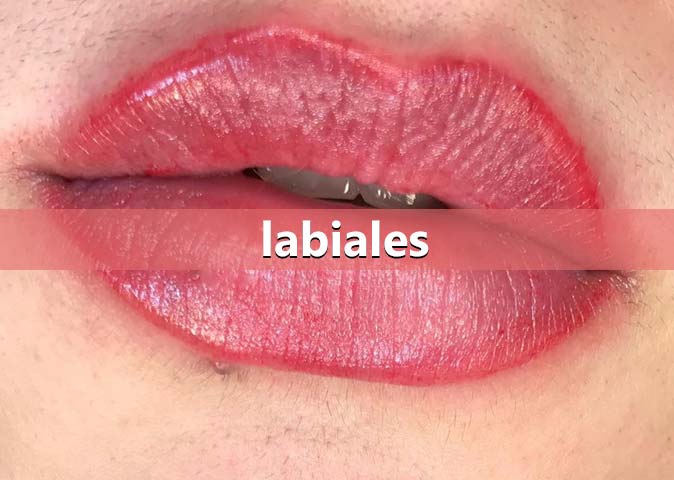 labiales